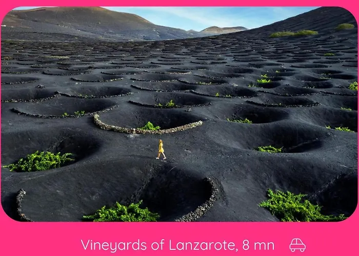 Full Relaxation - Private - Sea View - Stunning Garden - 2 Terraces - 2 Bedrooms - Wifi - Parking - Washing Machine 度假居 *