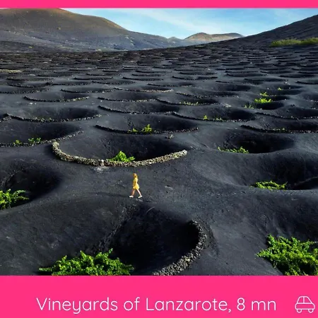 Full Relaxation - Private - Sea View - Stunning Garden - 2 Terraces - 3 Bedrooms - Wifi - Parking - Washing Machine Prázdninový dům *