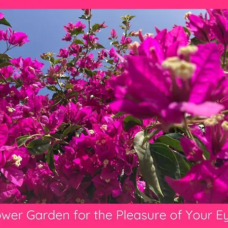 Full Relaxation - Private - Sea View - Stunning Garden - 2 Terraces - 3 Bedrooms - Wifi - Parking - Washing Machine Güime