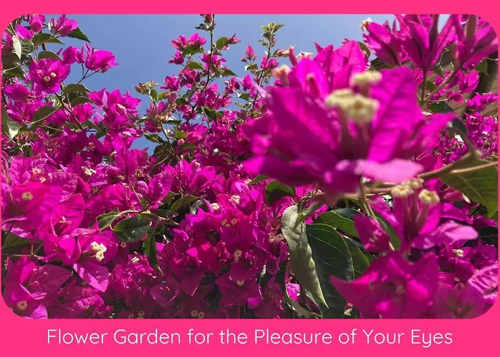 Full Relaxation - Private - Sea View - Stunning Garden - 2 Terraces - 2 Bedrooms - Wifi - Parking - Washing Machine Güime