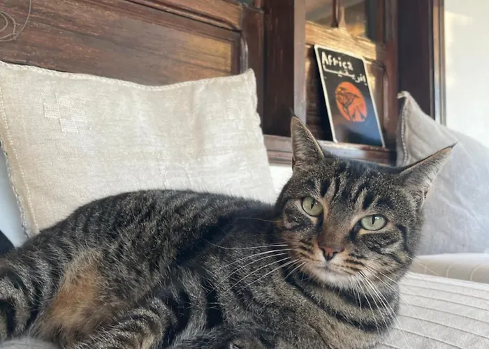 別荘 Full Relaxation - Private - Sea View - Stunning Garden - 2 Terraces - 2 Bedrooms - Wifi - Parking - Washing Machine